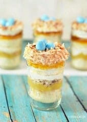 Bird Nest Mason Jar Cup Cakes