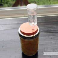 Fermenting garlic in brine in wide mouth pint Ball Mason jar with silicone fermentation lid, airlock, and glass fermentation weight