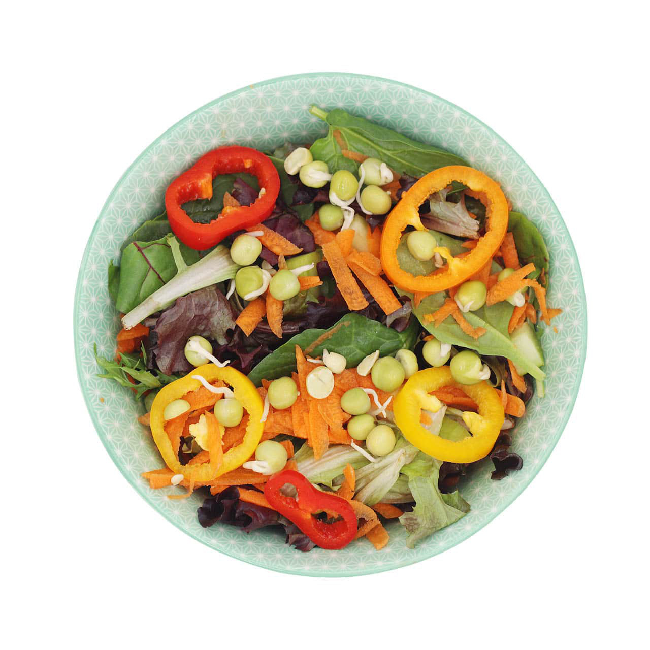 A salad with the sprouts being use in it.