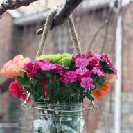 Thin rope handle on wide mouth quart Mason jar with flowers hanging on birch tree