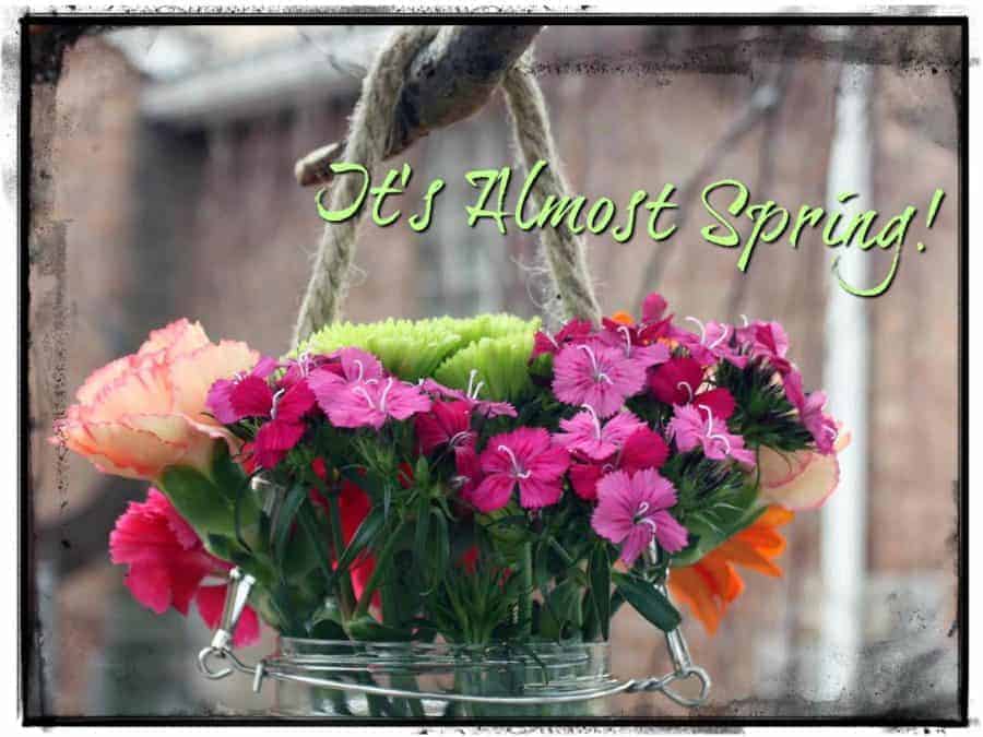 It's Almost Spring