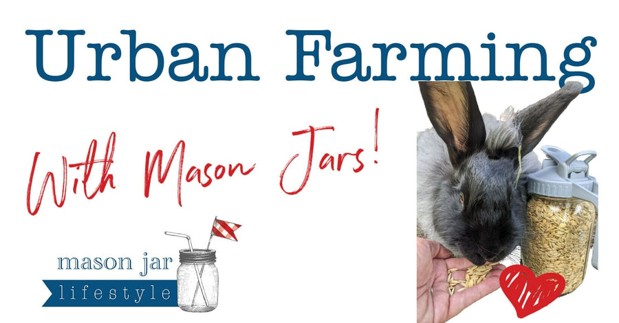 Urban Farming with Mason Jars Blog Post bee keeping angora bunny rabbits dogs cats pets chickens chicks