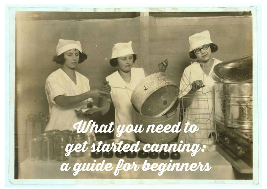 What you need to get started canning: A guide for beginners