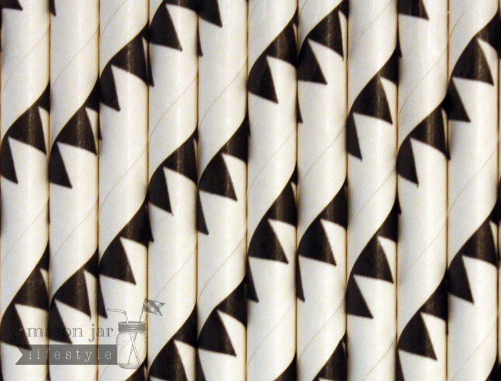 Random 24 Pack Paper Straws