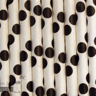 Random 24 Pack Paper Straws