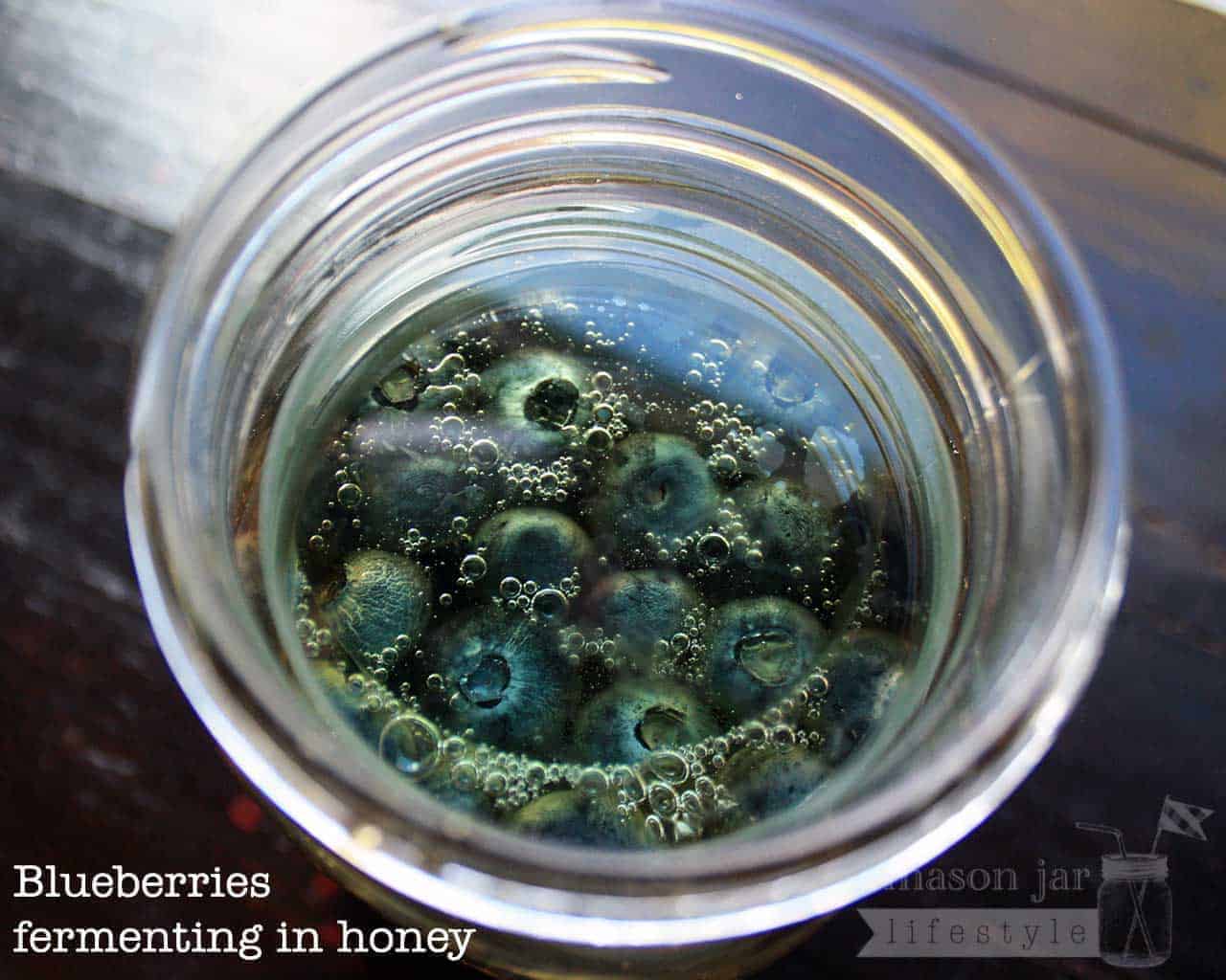 Blueberries fermenting in honey in wide mouth quart Mason jar with glass fermentation weights