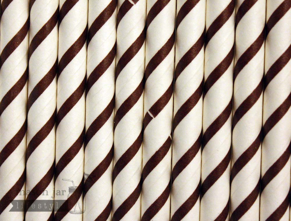 Random 24 Pack Paper Straws