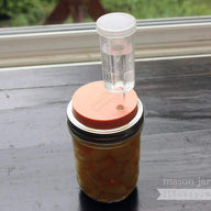 Fermenting garlic in brine in wide mouth pint Ball Mason jar with silicone fermentation lid, airlock, and glass fermentation weight