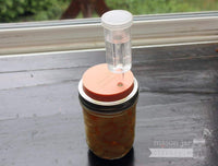 Fermenting garlic in brine in wide mouth pint Ball Mason jar with silicone fermentation lid, airlock, and glass fermentation weight