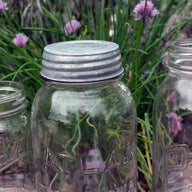 Galvanized vintage reproduction lid on Atlas Mason jar zoomed