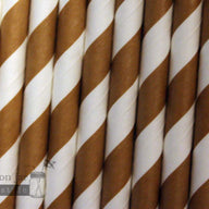 Random 24 Pack Paper Straws