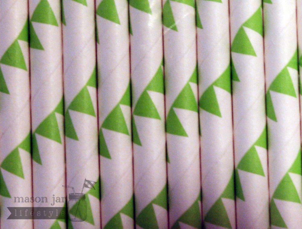 Random 24 Pack Paper Straws