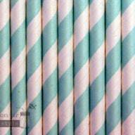 Random 24 Pack Paper Straws