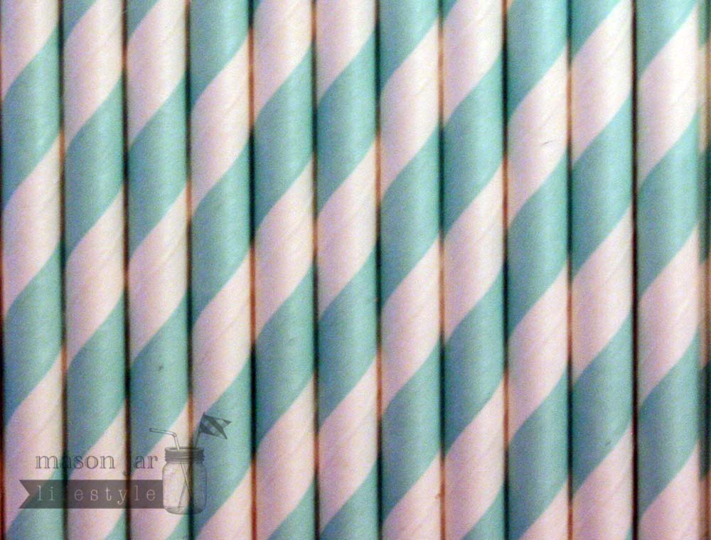 Random 24 Pack Paper Straws