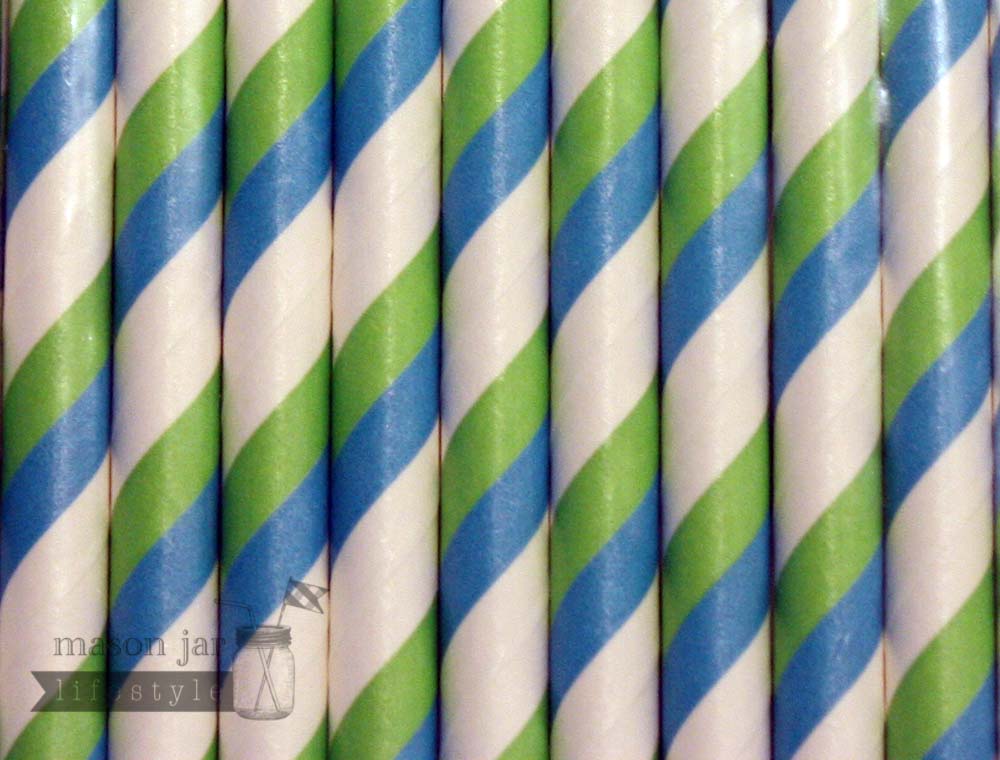 Random 24 Pack Paper Straws