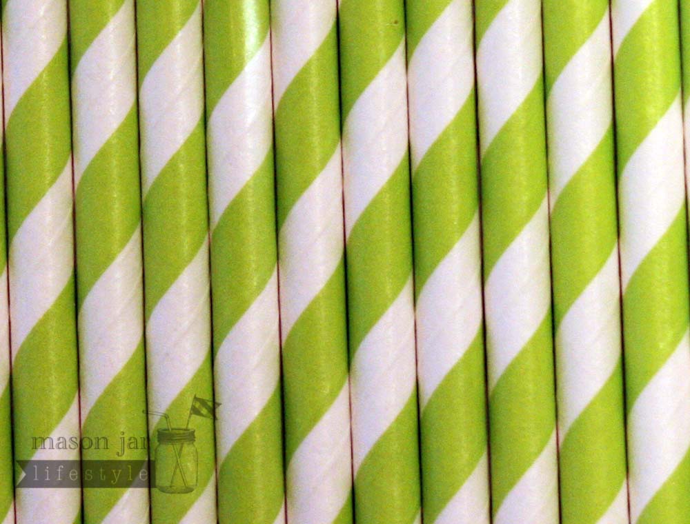 Random 24 Pack Paper Straws