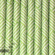 Random 24 Pack Paper Straws