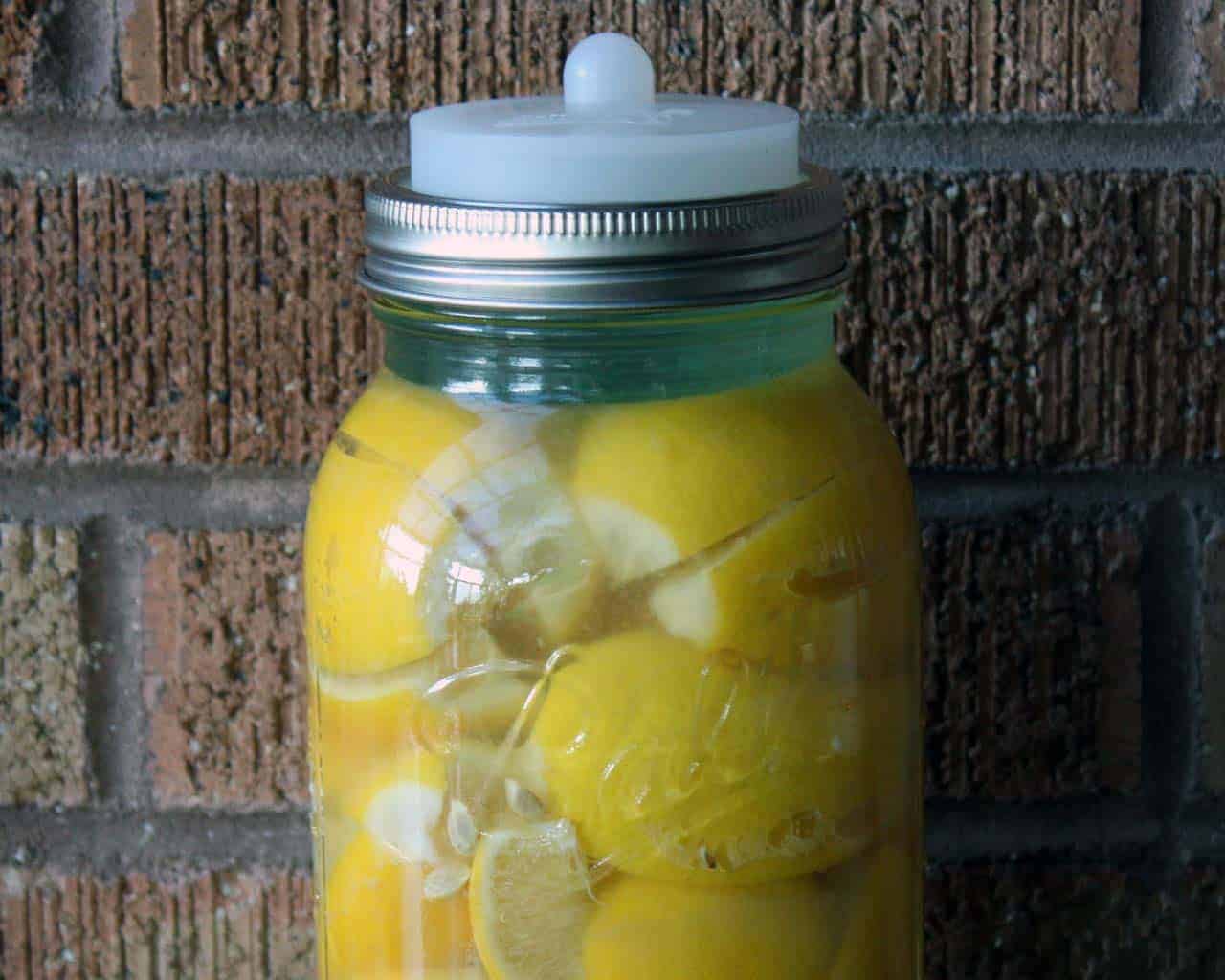 Clear silicone fermentation valve lid with Moroccan preserved lemons and tempered glass fermentation weight