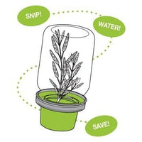 Jarware herb saver for regular mouth Mason jars