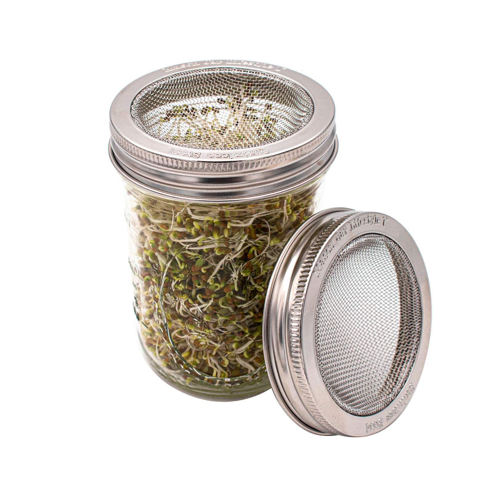 Curved Rust Proof Sprouting Lid and Band for Mason Jars
