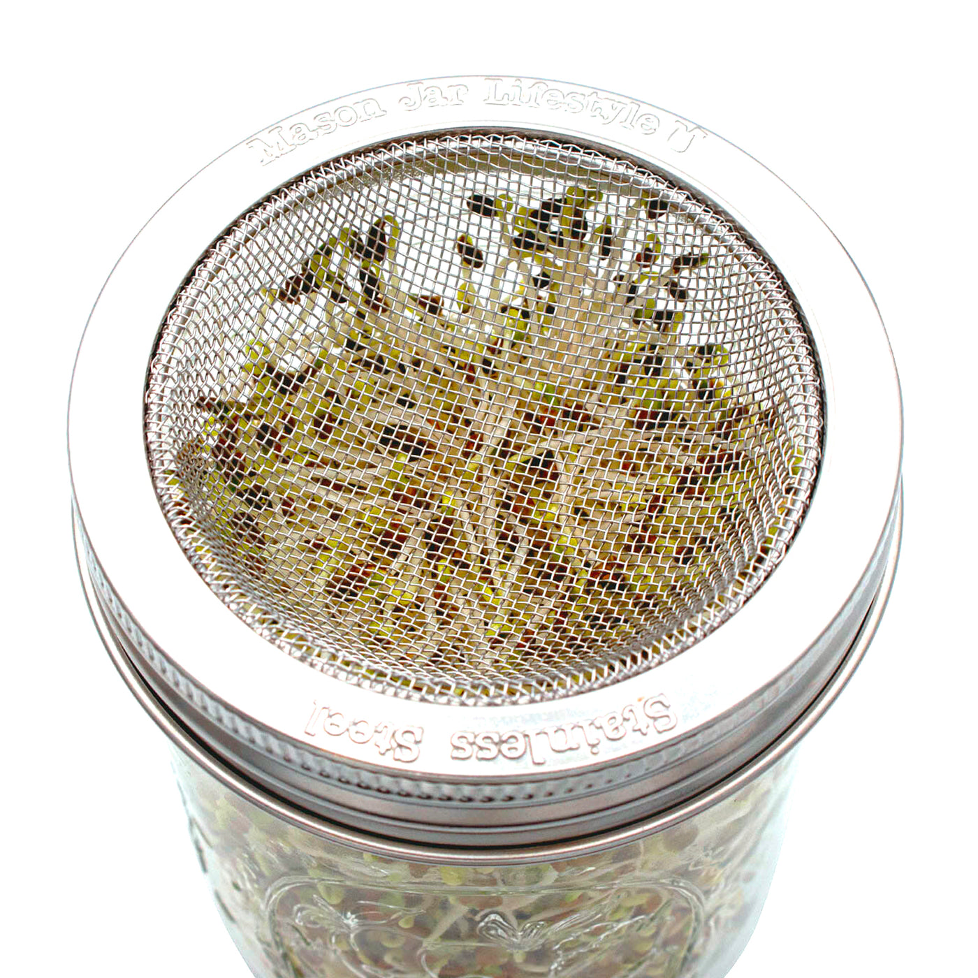 Curved Rust Proof Sprouting Lid and Band for Mason Jars