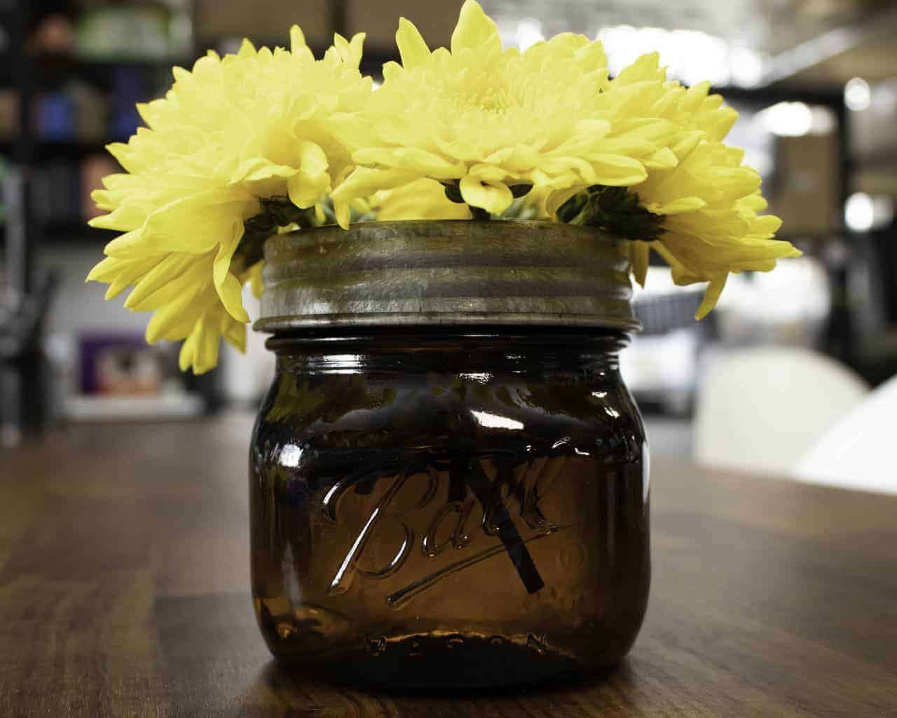 mason-jar-lifestyle-antique-reproduction-galvanized-chicken-wire-frog-organizing-lid-wide-mouth-ball-mason-jars-flowers-counter-side