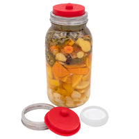 Fermentation Starter Kit for Wide Mouth Mason Jars