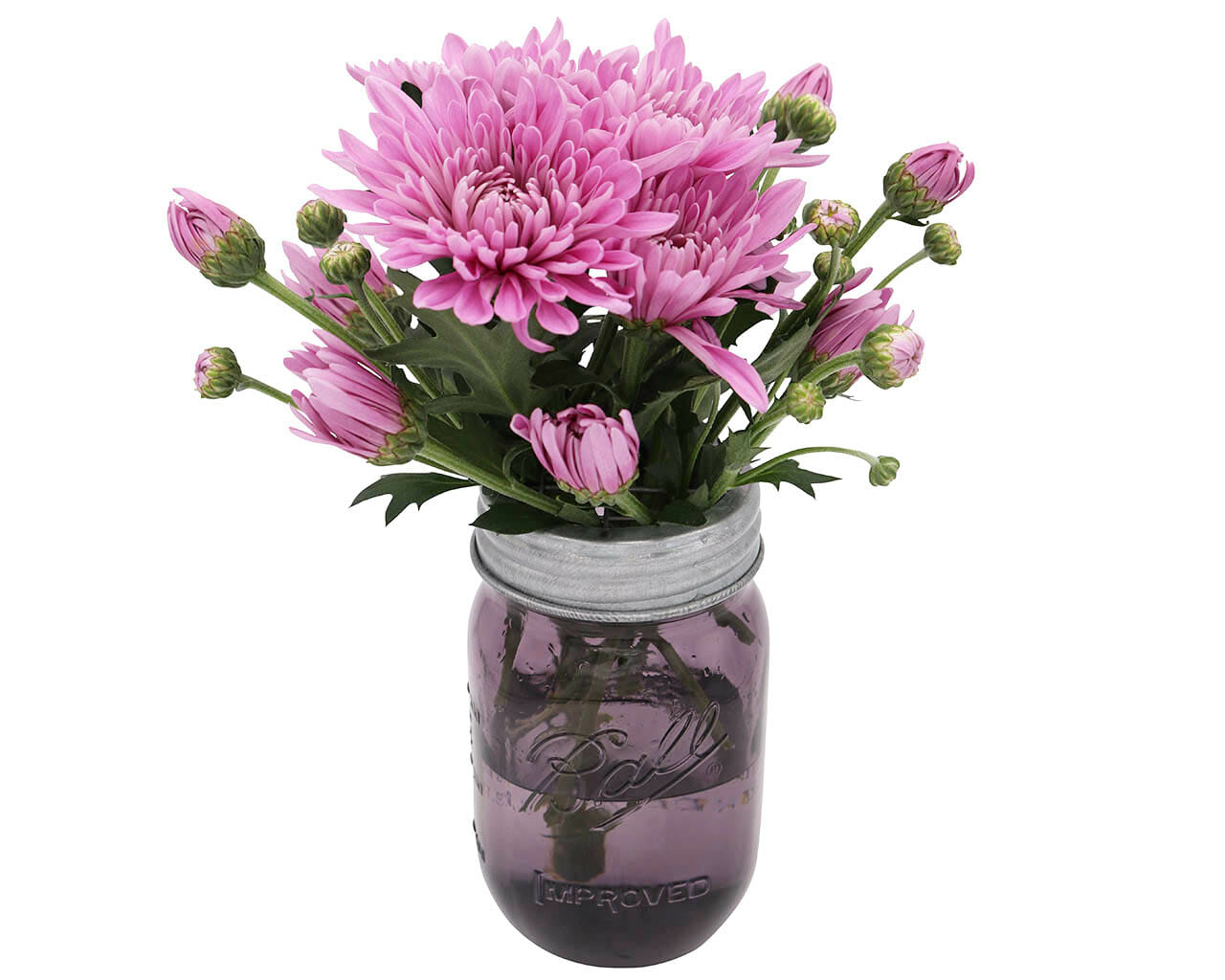 https://masonjarlifestyle.com/cdn/shop/files/mason-jar-lifestyle-galvanized-metal-grid-square-frog-flower-lid-regular-wide-mouth-mason-jars-ball-pint-purple-copy.jpg?v=1695766782&width=1280