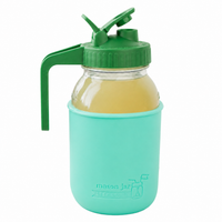 Glass pitcher set ball 32oz quart silicone sleeve aquamarine regular mouth pour store leaf green product on white together