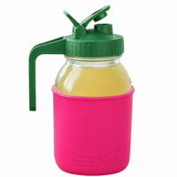 Glass pitcher set ball 32oz quart silicone sleeve berry pink regular mouth pour store leaf green product on white together