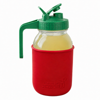 Glass pitcher set ball 32oz quart silicone sleeve cherry red regular mouth pour store leaf green product on white together