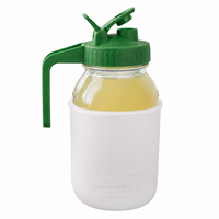 Glass pitcher set ball 32oz quart silicone sleeve frost regular mouth pour store leaf green product on white together