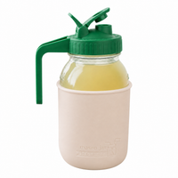Glass pitcher set ball 32oz quart silicone sleeve greige regular mouth pour store leaf green product on white together