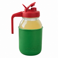 Glass pitcher set ball 32oz quart silicone sleeve leaf green regular mouth pour store cherry red product on white together