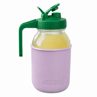 Glass pitcher set ball 32oz quart silicone sleeve light orchid regular mouth pour store leaf green product on white together
