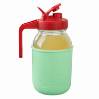 Glass pitcher set ball 32oz quart silicone sleeve mint green regular mouth pour store cherry red product on white together