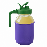 Glass pitcher set ball 32oz quart silicone sleeve ultra violet regular mouth pour store leaf green product on white together