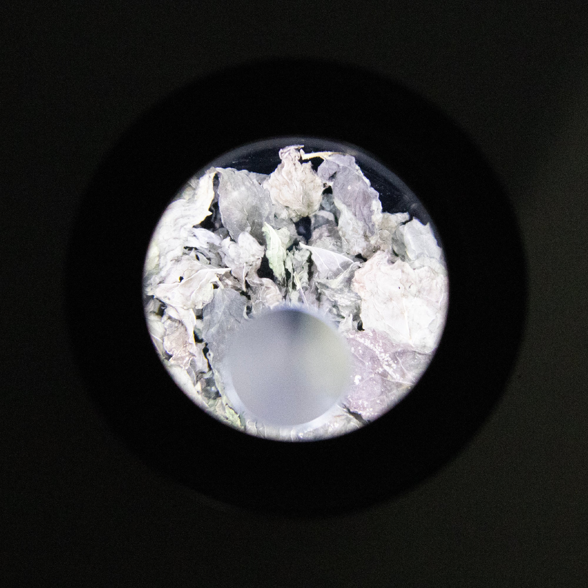 Mason Brite 3.0 Magnifying LED Light Lid Kit