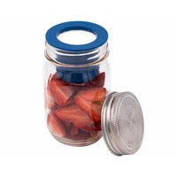 Silicone divider dressing cup stainless steel storage lid 16oz pint fruit yogurt regular mouth deep blue inside