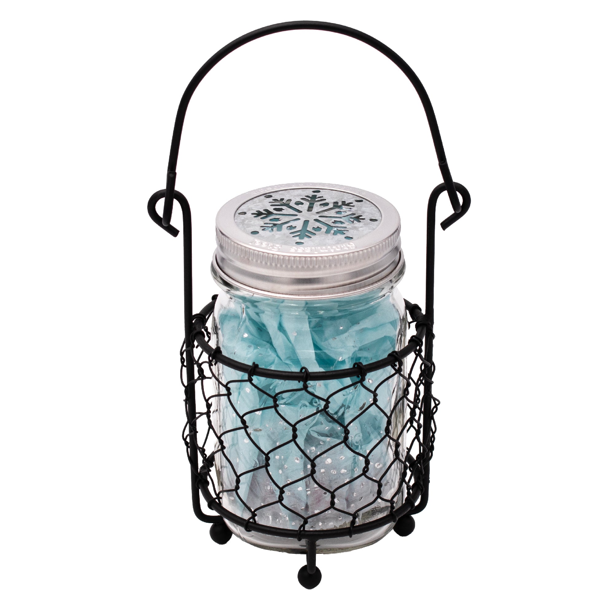 Single Pint Jar Caddy with Chicken Wire for Hanging or Carrying One Mason Jar