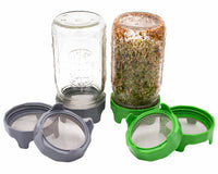 Wide Mouth Rust Proof Sprouting Lid with Green Plastic Stand for Mason Jars