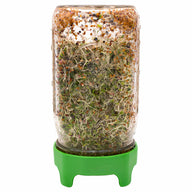 Wide Mouth Rust Proof Sprouting Lid with Green Plastic Stand for Mason Jars