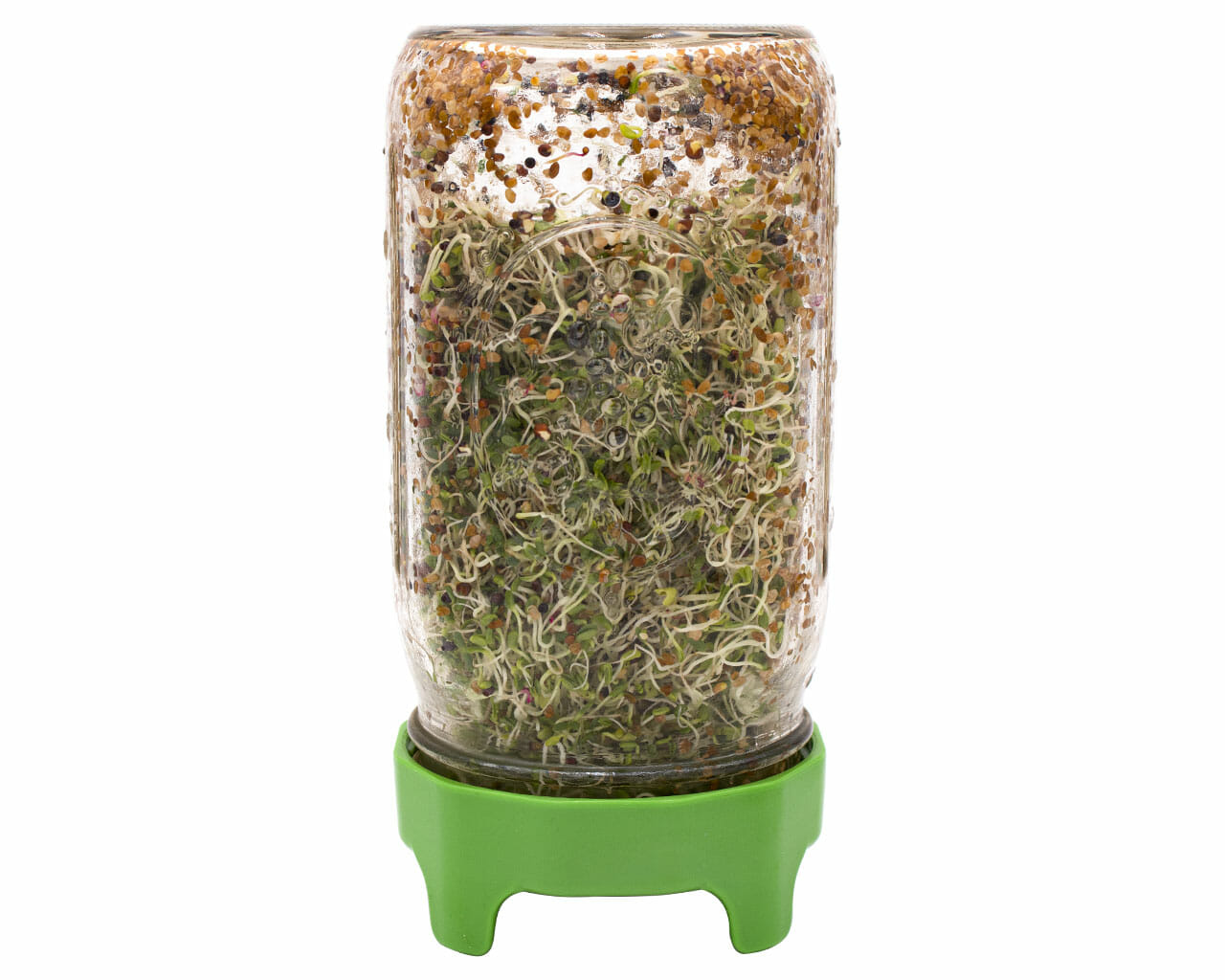 Wide Mouth Rust Proof Sprouting Lid with Green Plastic Stand for Mason Jars