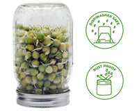 Stainless Steel Curved Rust Proof Sprouting Lid for Regular Mouth Mason Jars