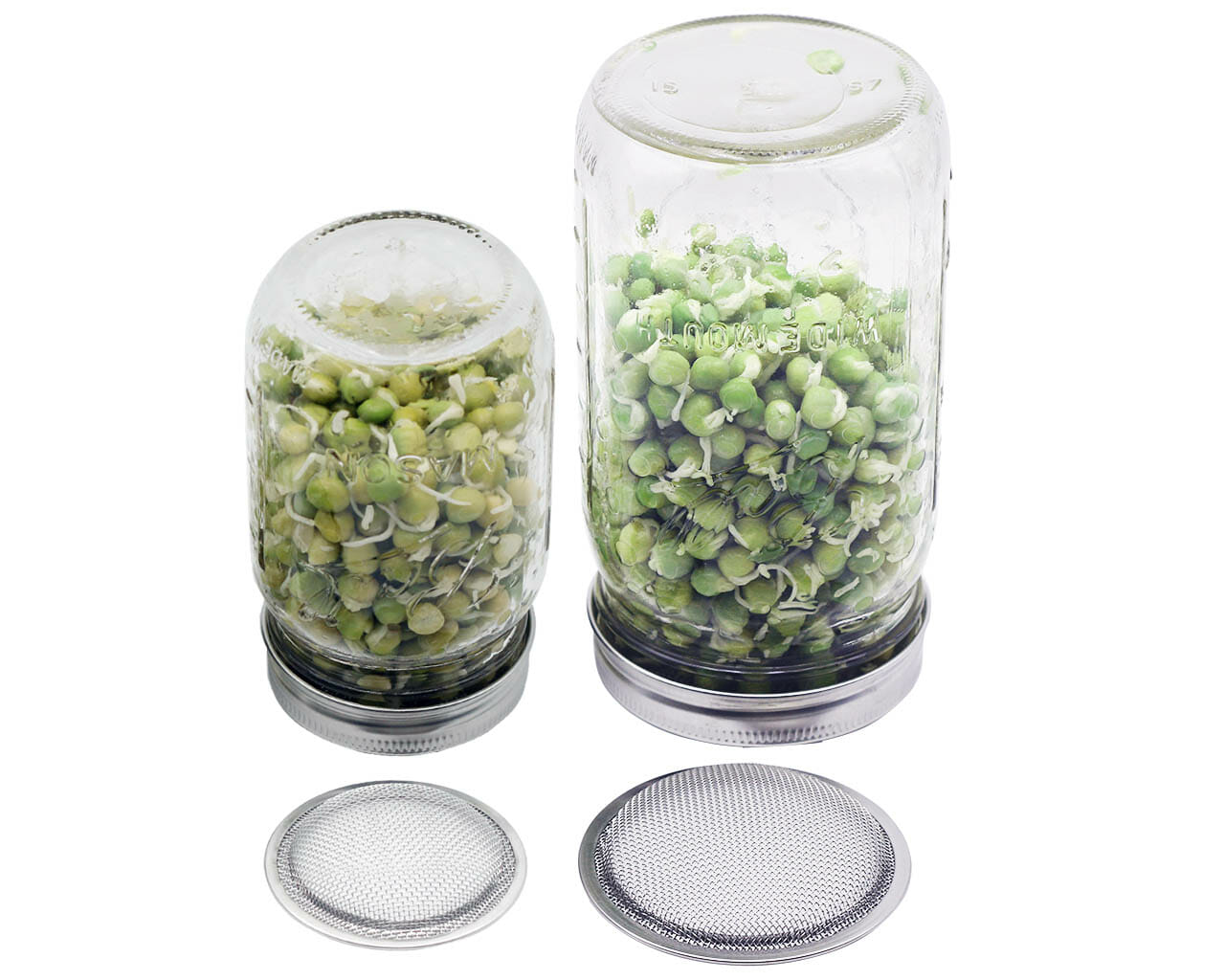 mason-jar-lifestyle-stainless-steel-mesh-sprouting-lid-band-wide-regular-mouth-ball-16oz-pint-32oz-quart-beans-peas-front