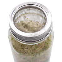 Curved Rust Proof Sprouting Lid and Band for Mason Jars