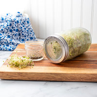 The wide mouth sprouting lid on a quart Mason jar, next to a small jar of seeds and sprouts, all laying on a cutting board.