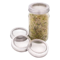 Curved Rust Proof Sprouting Lid and Band for Mason Jars