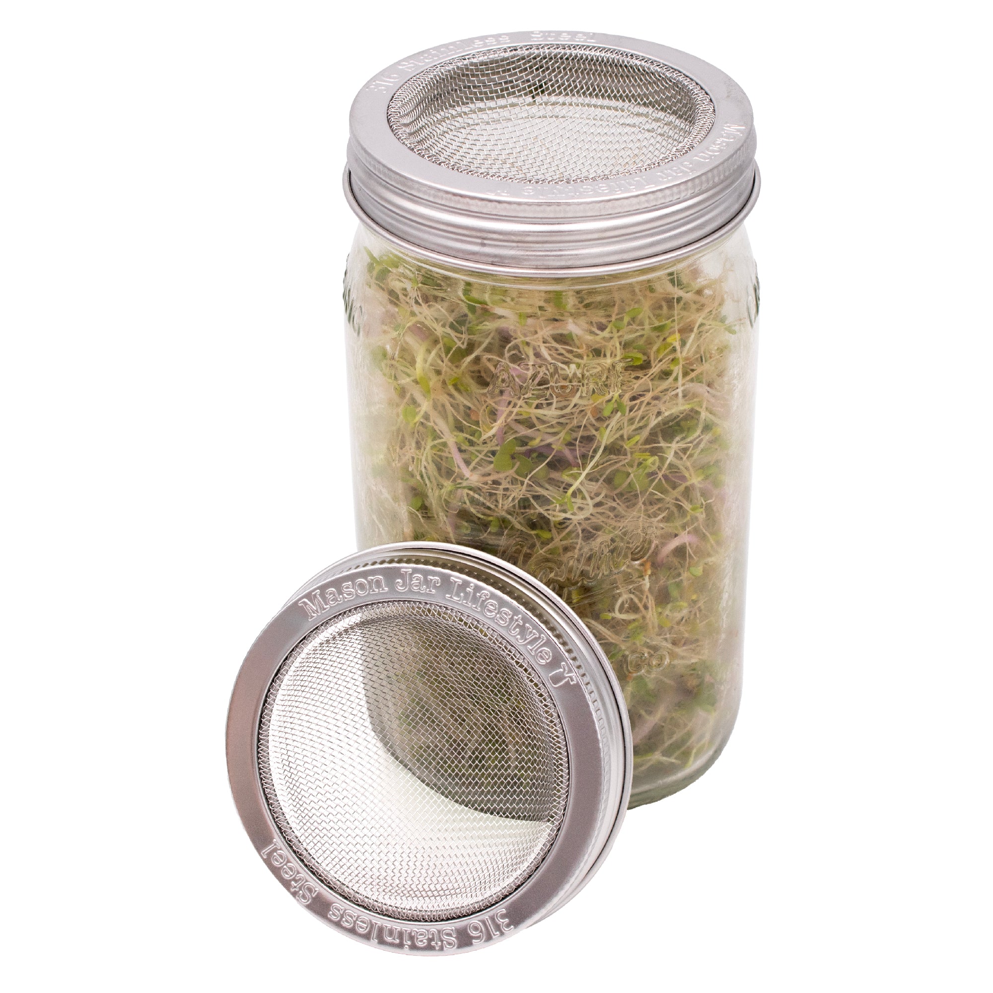 Curved Rust Proof Sprouting Lid and Band for Mason Jars