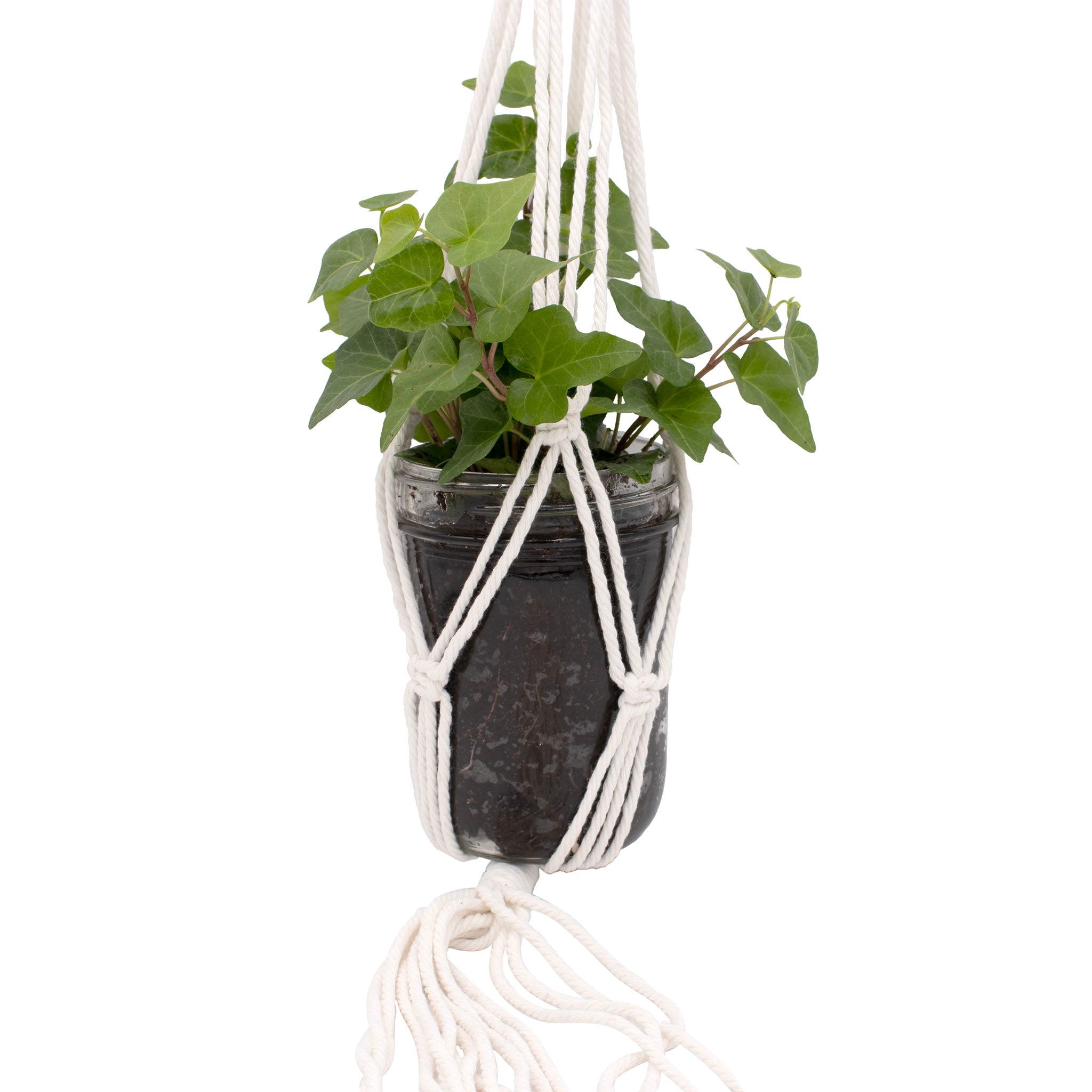 macrame twine plant hanger Braided Macrame Rope Mason Jar Holder / Hanger Single